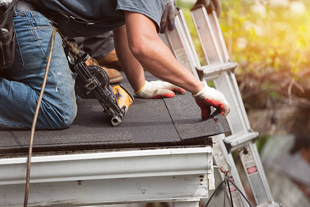 Best Roof Gutter Cleaning  in Long Branch, NJ