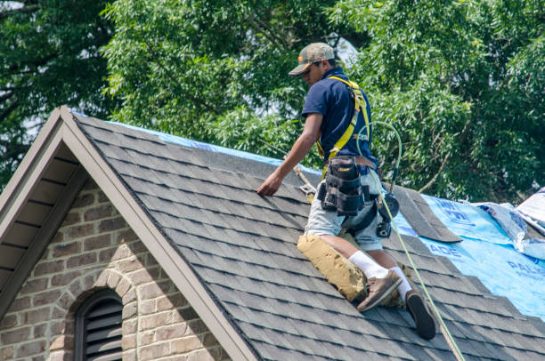 Best Gutter Installation and Roofing  in Long Branch, NJ